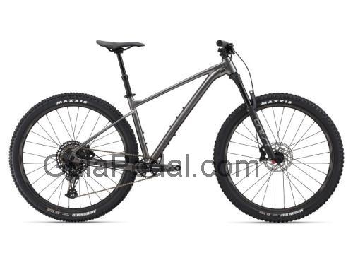 Giant Fathom 1 29 ficha técnica y opiniones